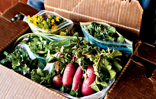 Farmhouse Delivery: Local Texas produce, meat, and grocery delivery service