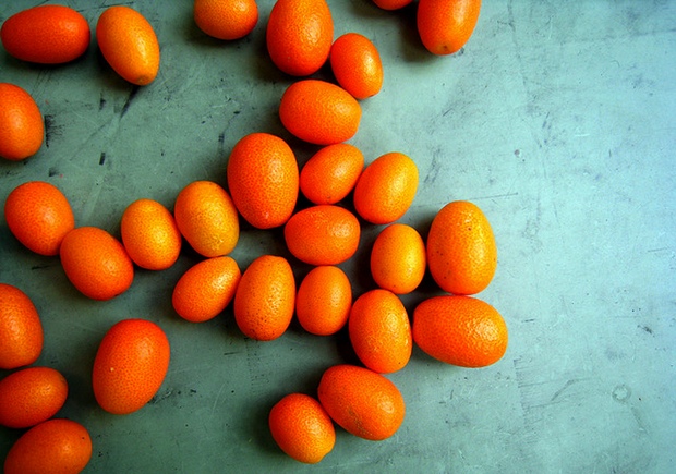 Kumquats: The Tiny Fruit With a Healthy Dose of Personality - Washingtonian