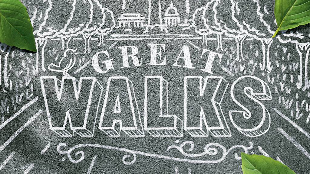 20 Great Walks Around Washington, DC