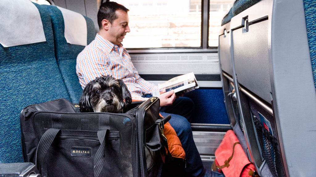 You Can Take Your Dogs (or Cats!) on Amtrak Now - Washingtonian