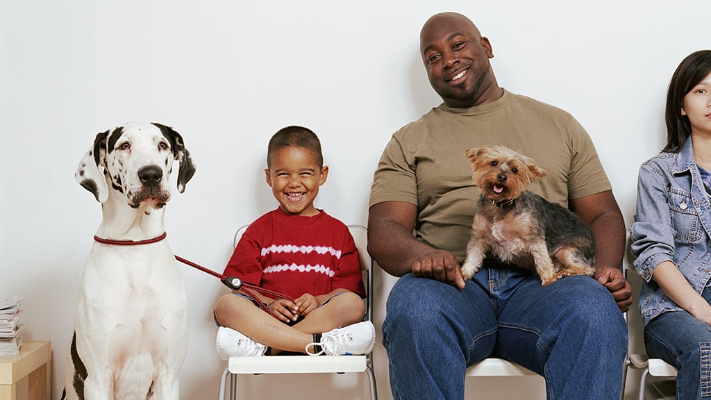 The DC Pet Owner’s Guide to Vet Etiquette