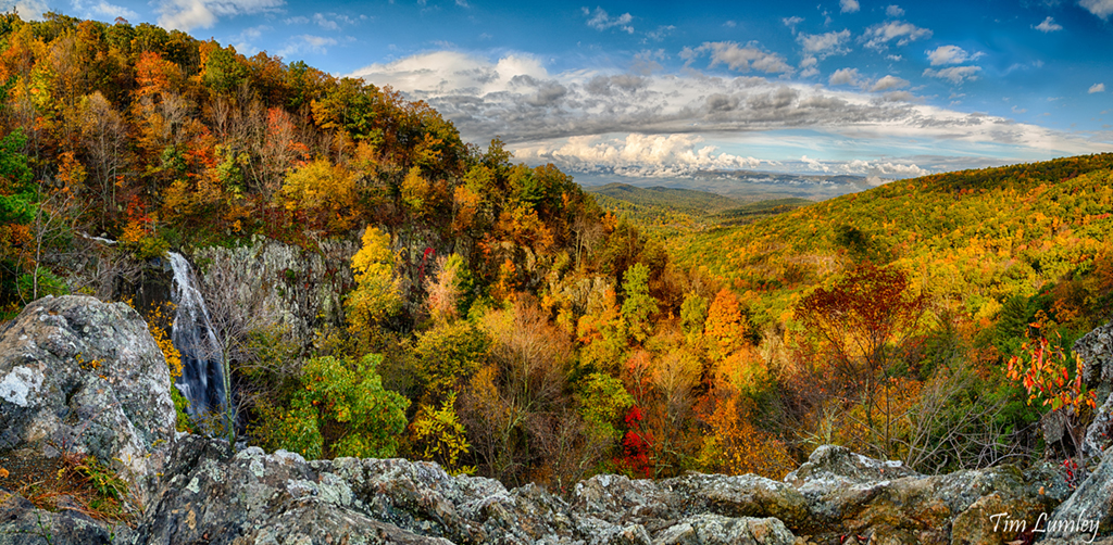 Best Places to See Fall Foliage Near DC This Weekend