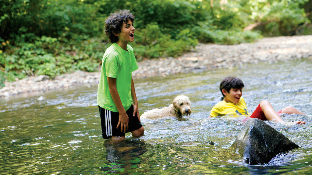 “It Feels Like a Fairy Tale” and 8 Other Reasons Why People Love Rock Creek Park