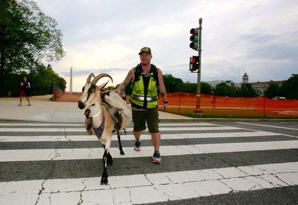 miles-1 - Washingtonian Miles Goat National Mall