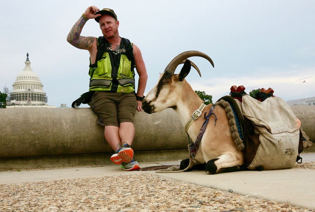 miles-2 - Washingtonian Miles Goat National Mall