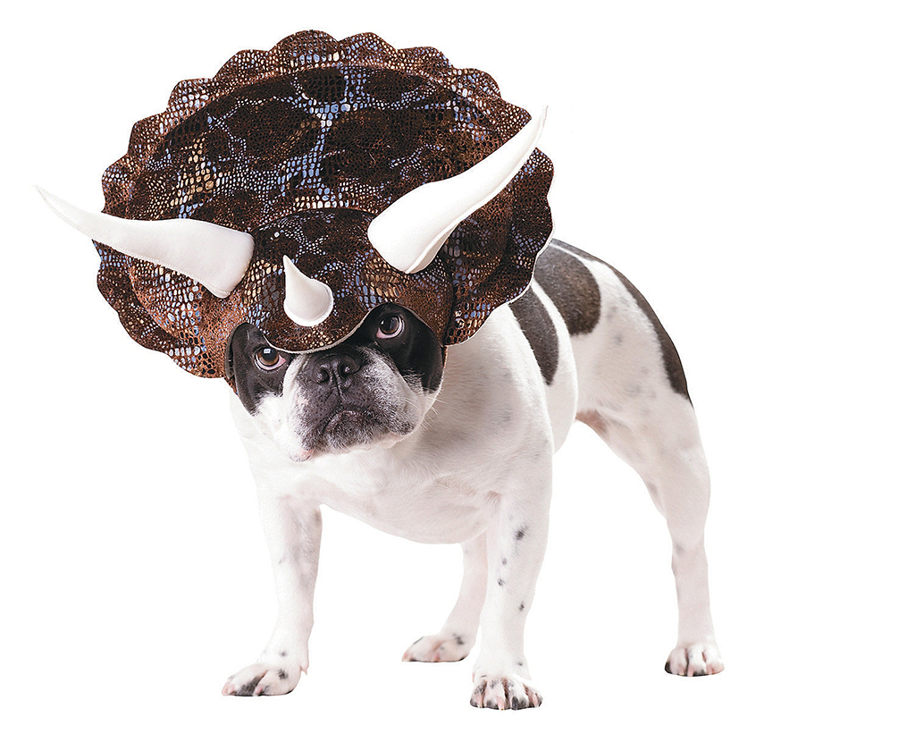animal-planet-triceratops-medium-dog-costume-13638735 - Washingtonian animal-planet-triceratops-medium-dog-costume-13638735