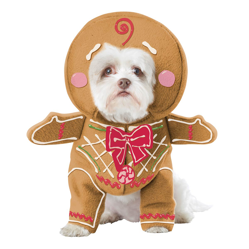 gingerbread-pup-dog-costume-5512 - Washingtonian gingerbread-pup-dog-costume-5512
