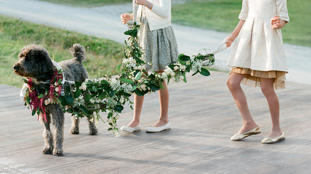How to Train Your Dog to Walk Down the Aisle At Your Wedding