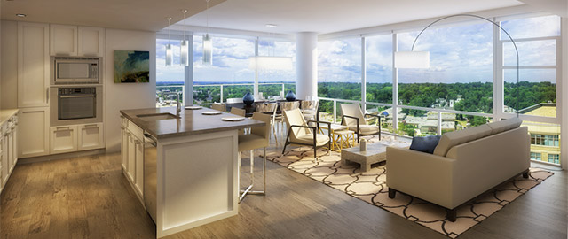 Cheval3 - Washingtonian