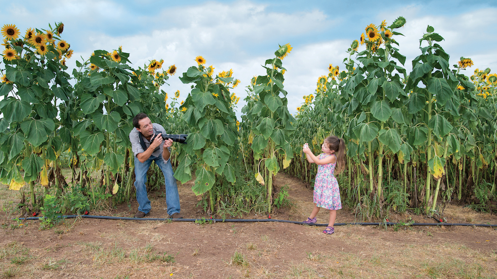 Frolic Through This Virginia Sunflower Field Before the Summer Ends