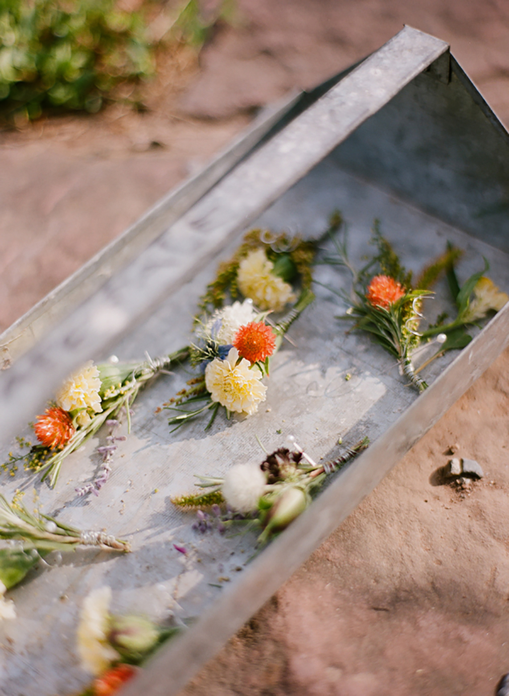 Alyssa Detwiler + Ehren Dohler | Alex Friendly3 - Washingtonian