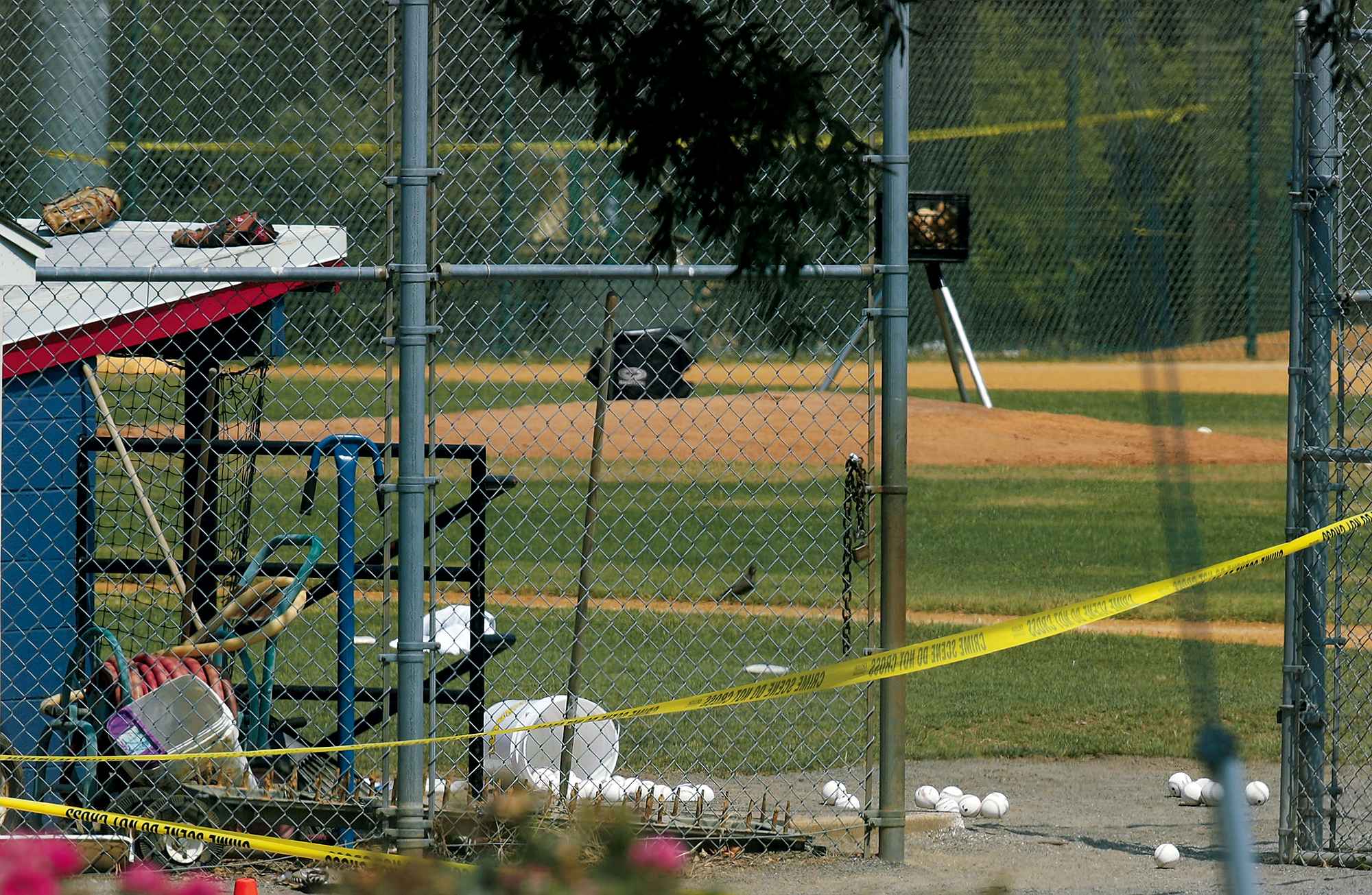 The Terrifying Story of the Congressional Baseball Shooting