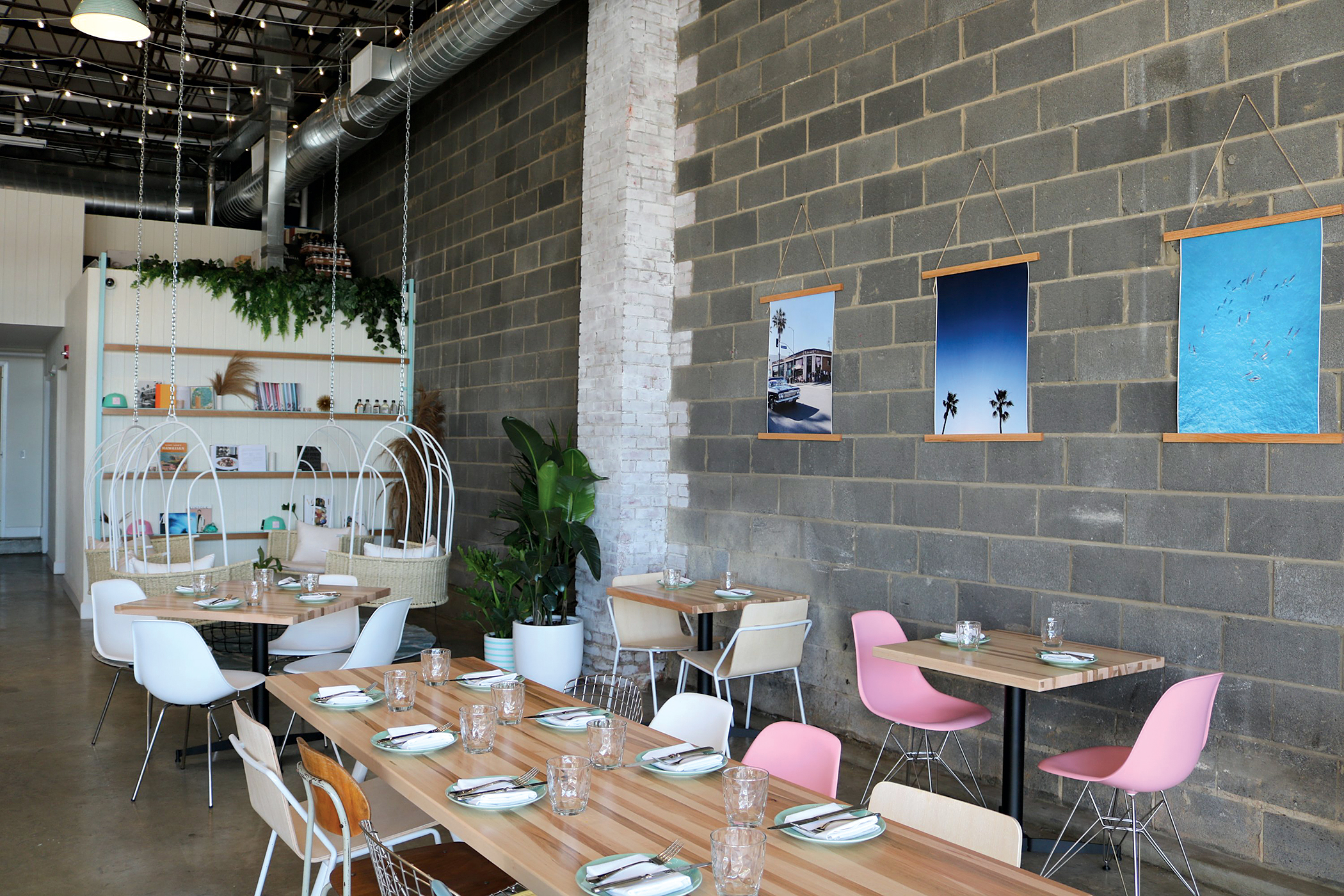 Photograph of Coconut Club by Adam Greenberg.