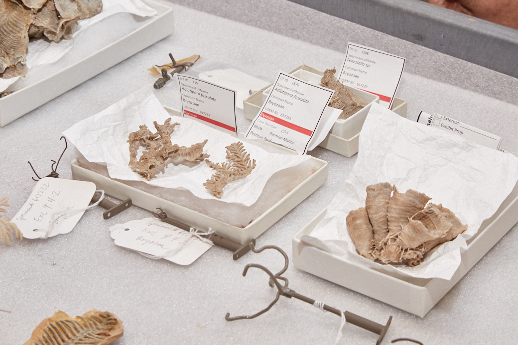 18101_Natural_History_Museum_0850 - Washingtonian