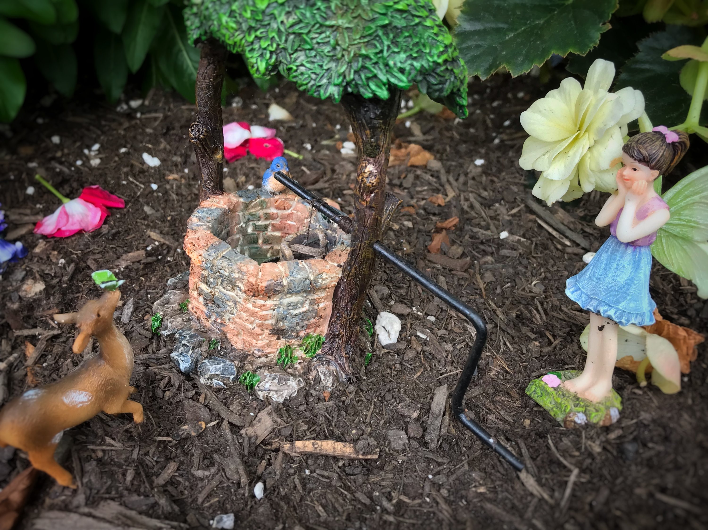 fairy-garden-7 - Washingtonian