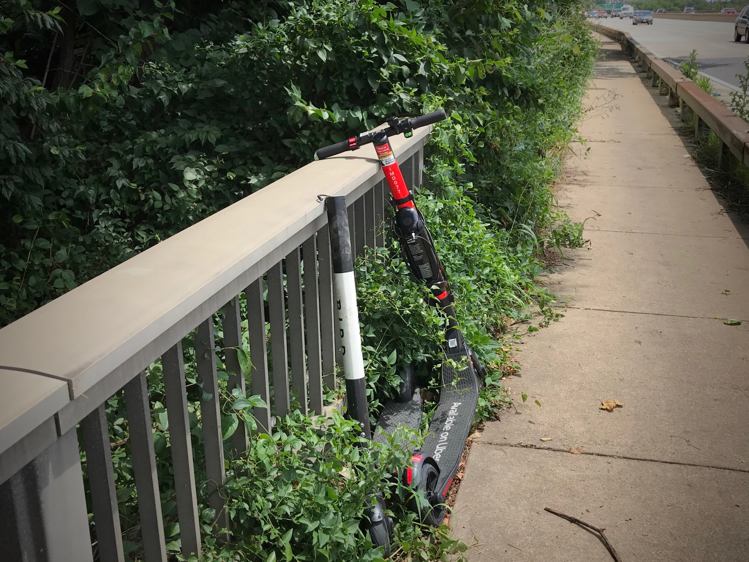 scooter-on-roosevelt-bridge-1 - Washingtonian