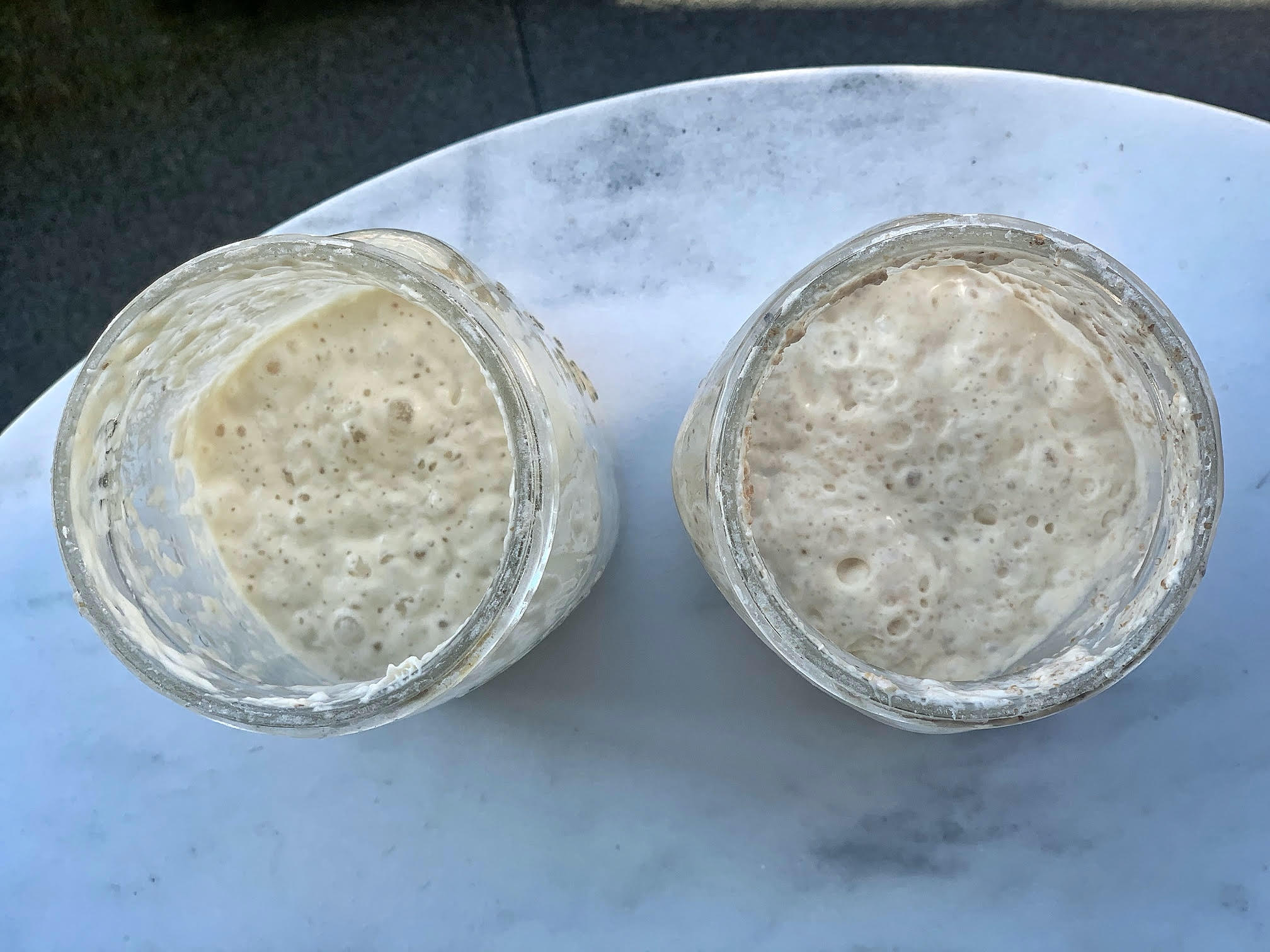 sourdoughstarter - Washingtonian