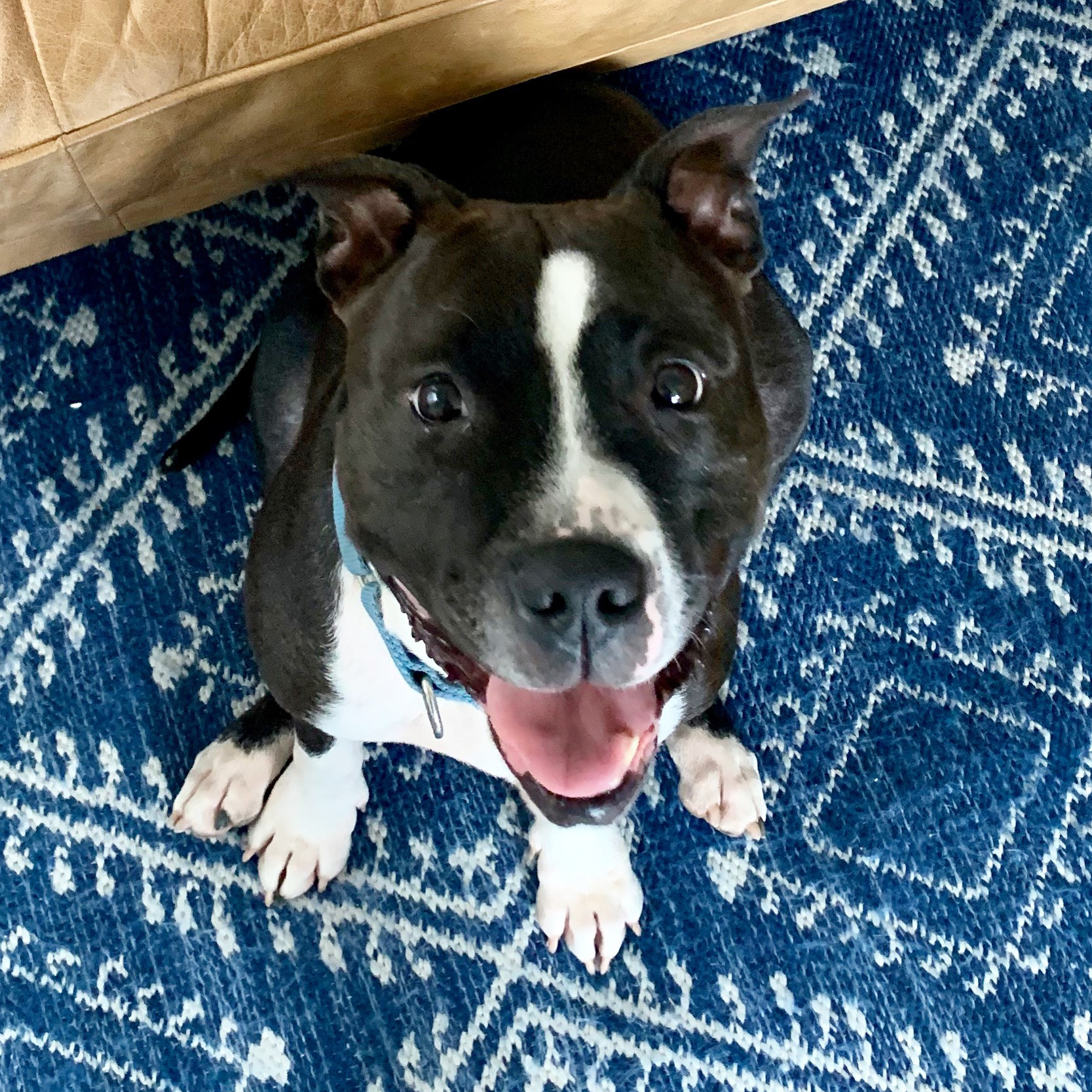 Cookie1 - Washingtonian