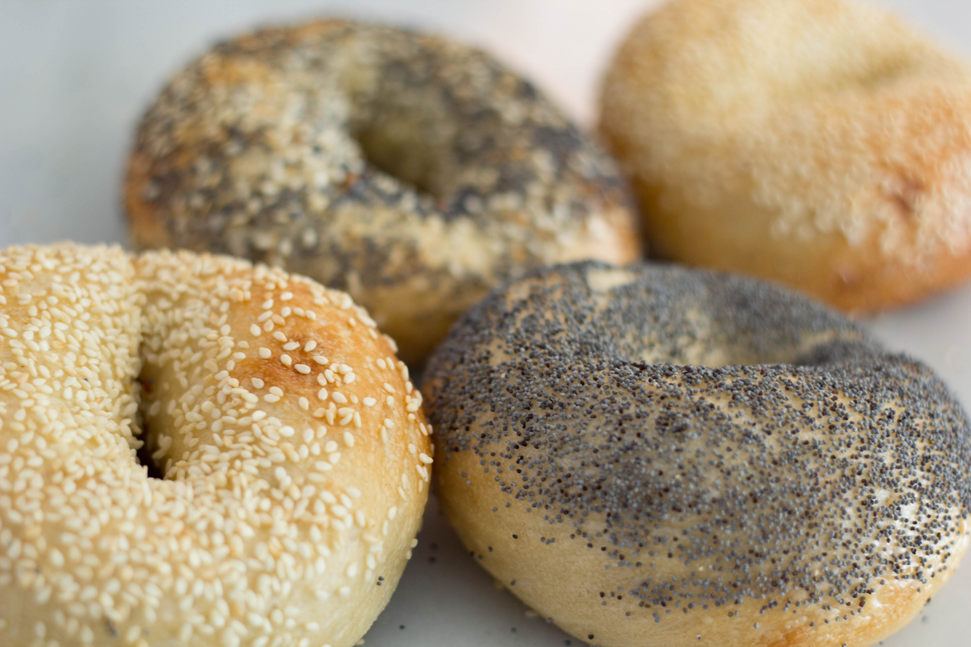 Hand-Rolled Pearl's Bagels Opens in Mount Vernon Square This Weekend |  Washingtonian