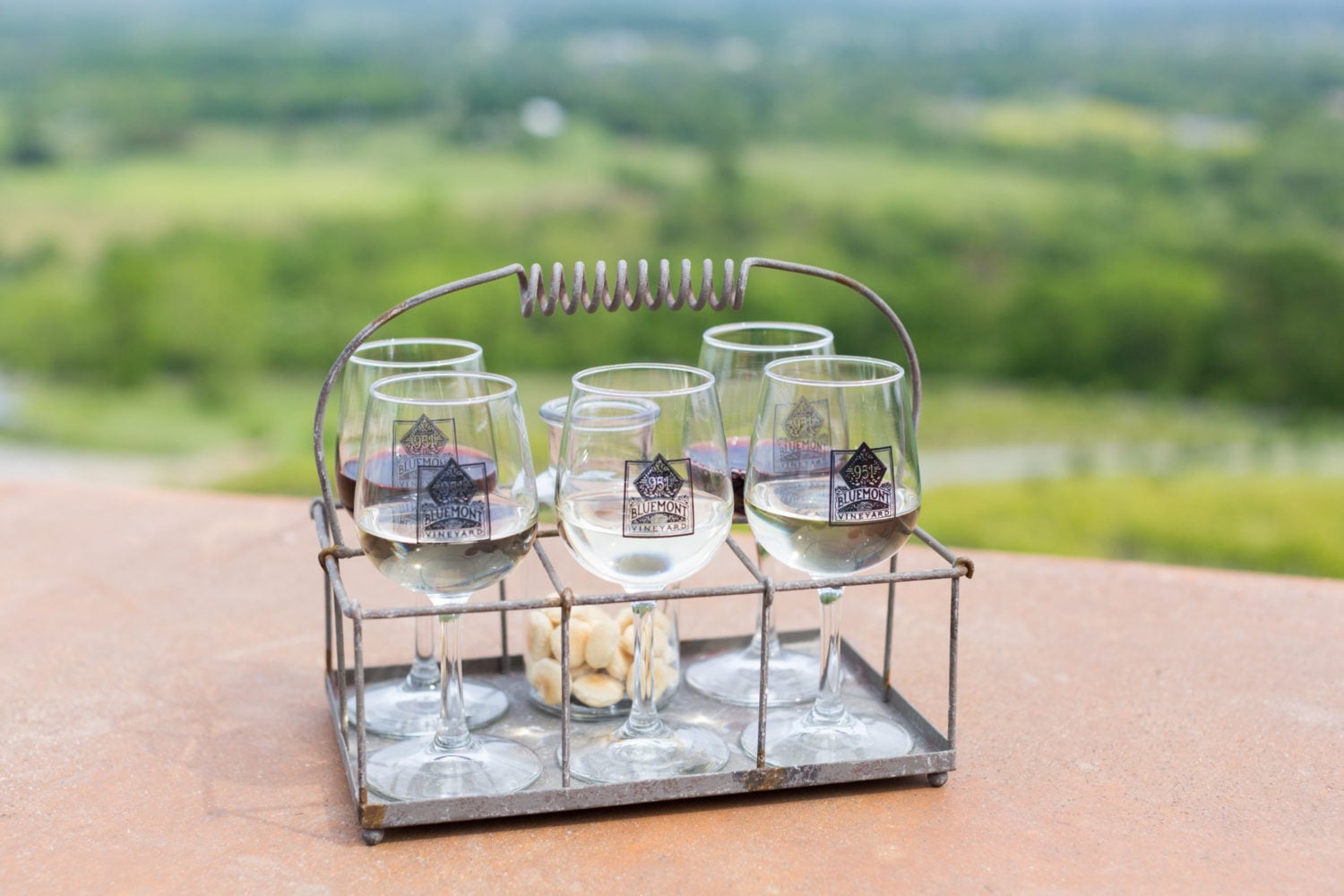 Photograph courtesy of Bluemont Vineyard.
