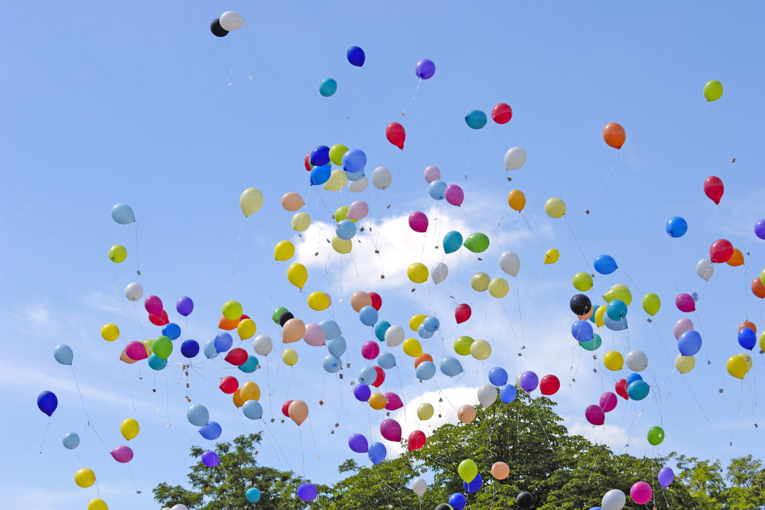 No, You Can’t Release Balloons in Montgomery County Anymore
