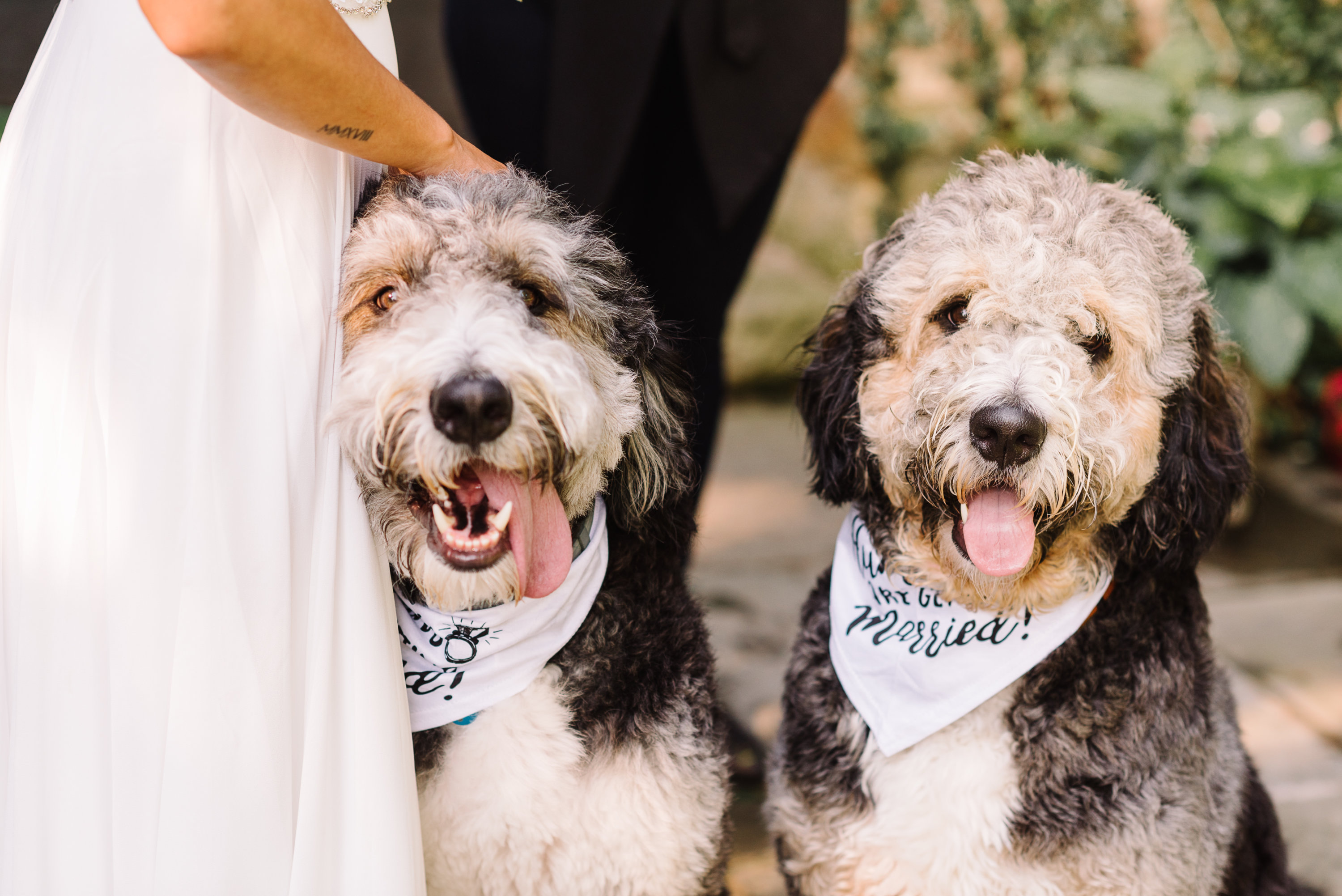 KrystaNormanPhotography_BasilioKrobot_Elopement-94 - Washingtonian