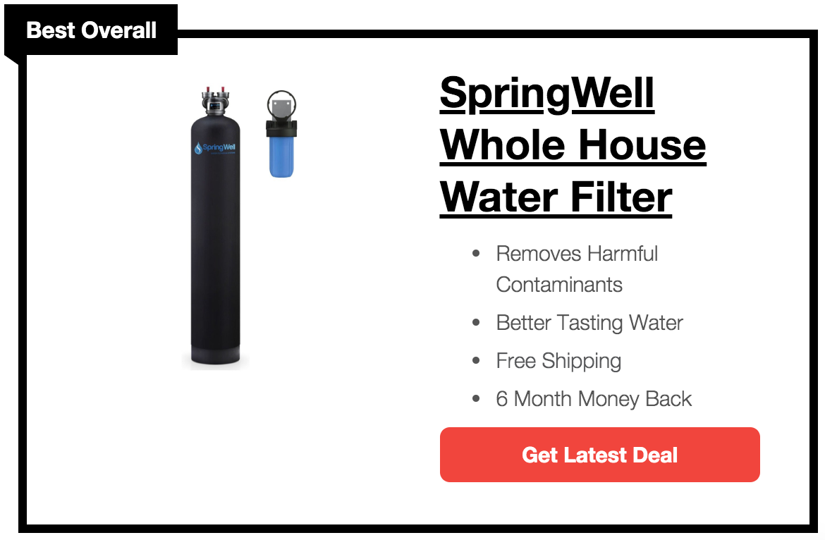 5 Best Whole House Water Filter Systems of 2021 - Washingtonian