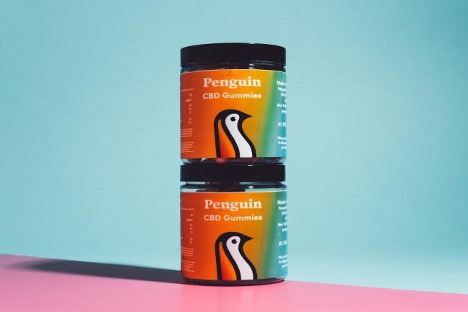 Penguin - Washingtonian