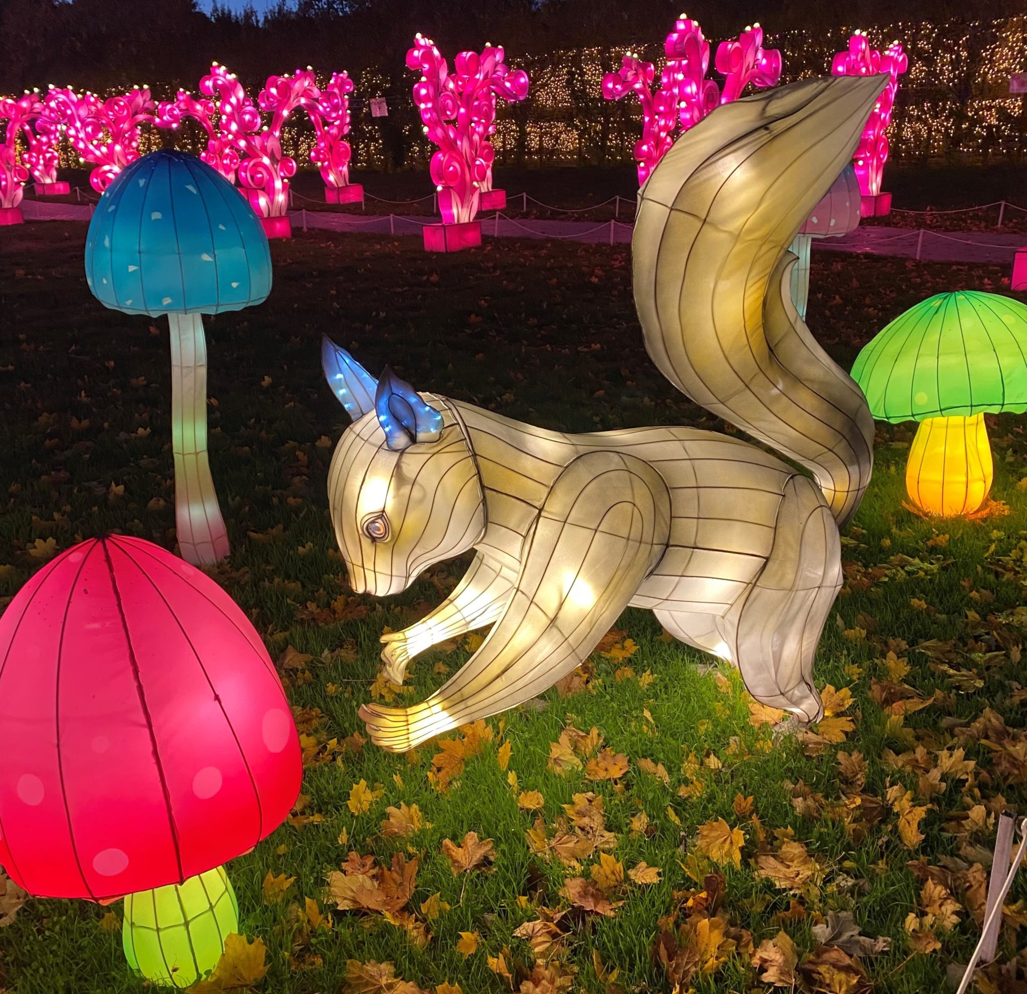 7 Things Around DC To Do To Cure The Winter Blues Washingtonian   2022 Lanterns Squirrel 2048x1982 