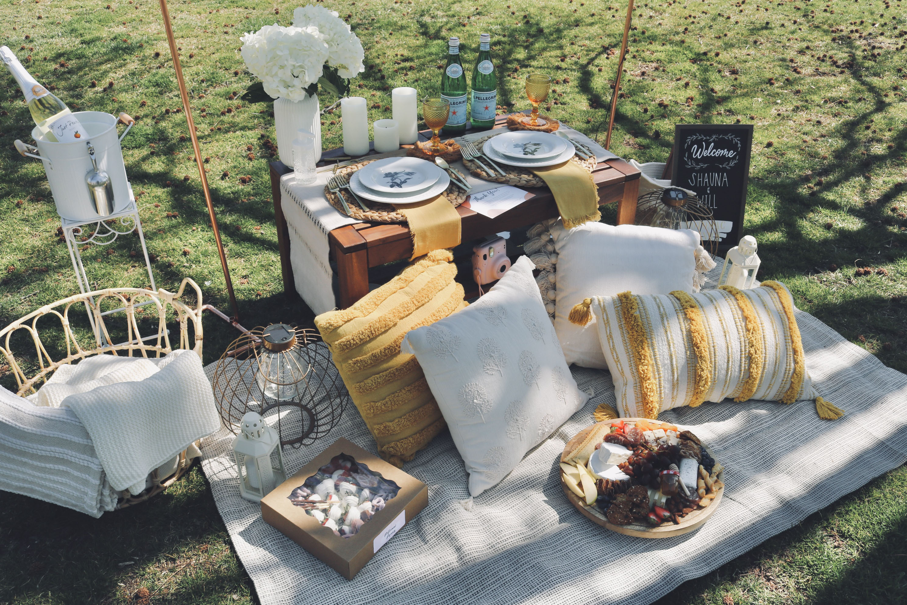 Step Up Your Picnic Game With These Pro Tips and Products
