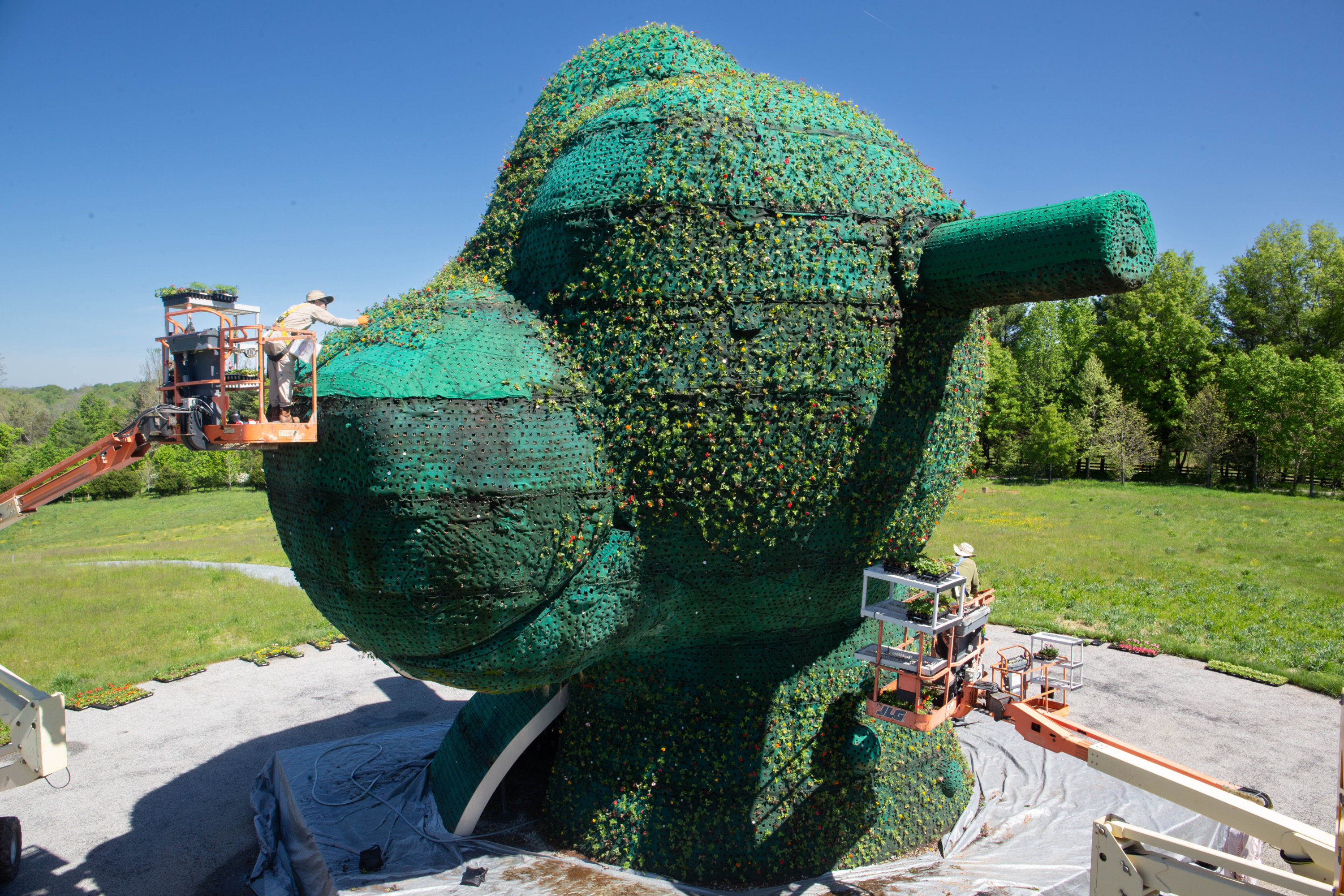 Glenstone's Jeff Koons Sculpture Has 24,000 Plants and One Seriously  Dedicated Caretaker
