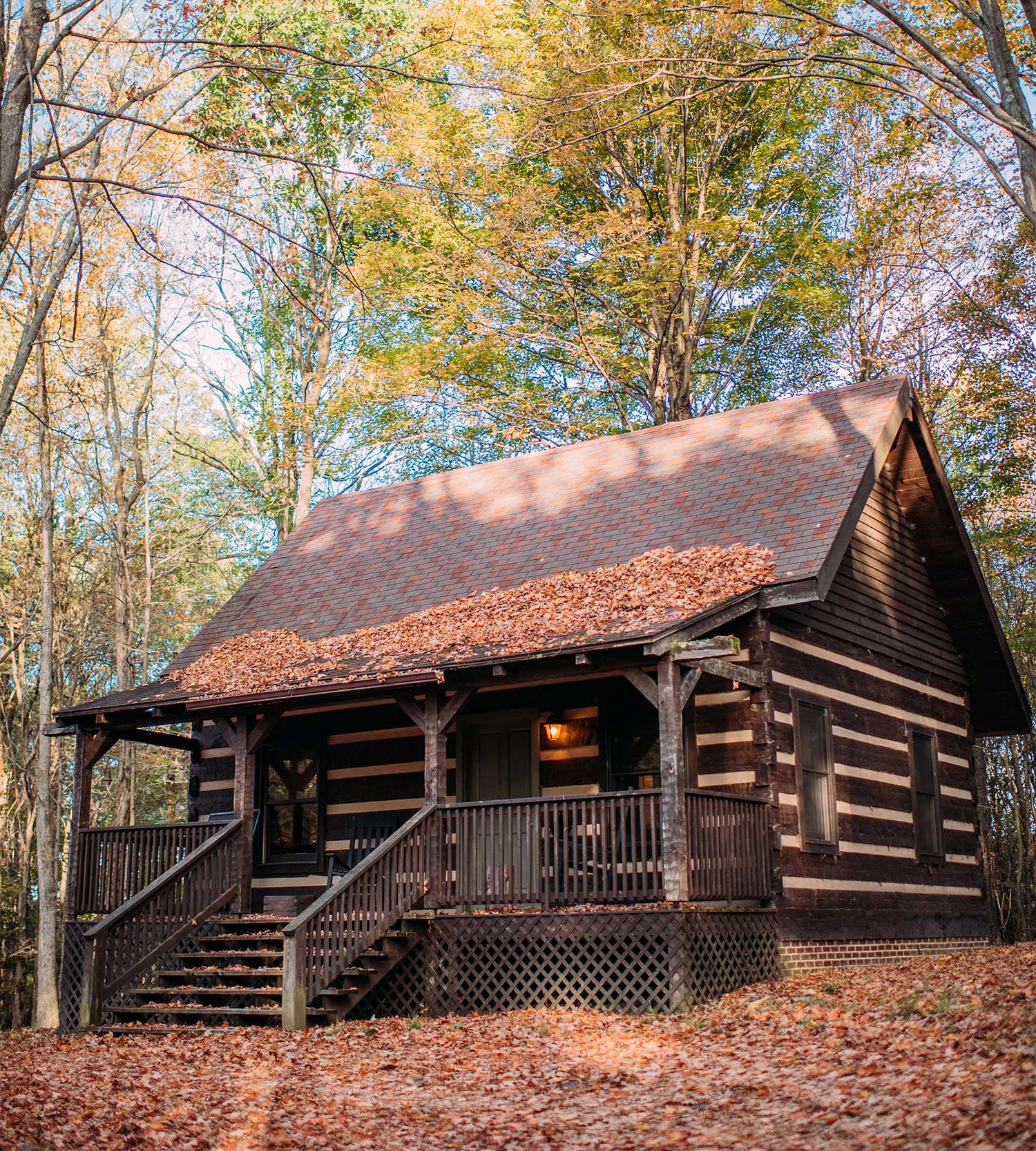 SRL_Cabin_VeronicaVaros6-copy-4.5by5 - Washingtonian