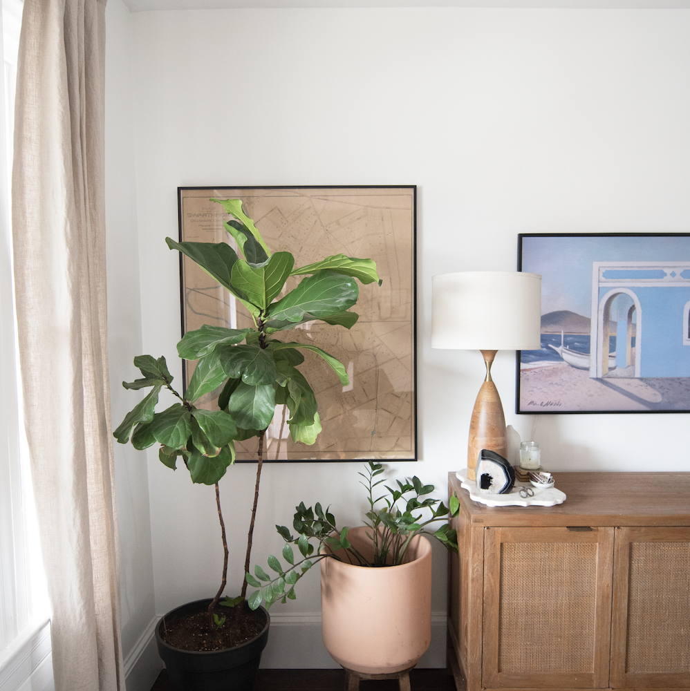 Check Out Local Jewelry Designer Mallory Shelter’s Trinidad Rowhouse
