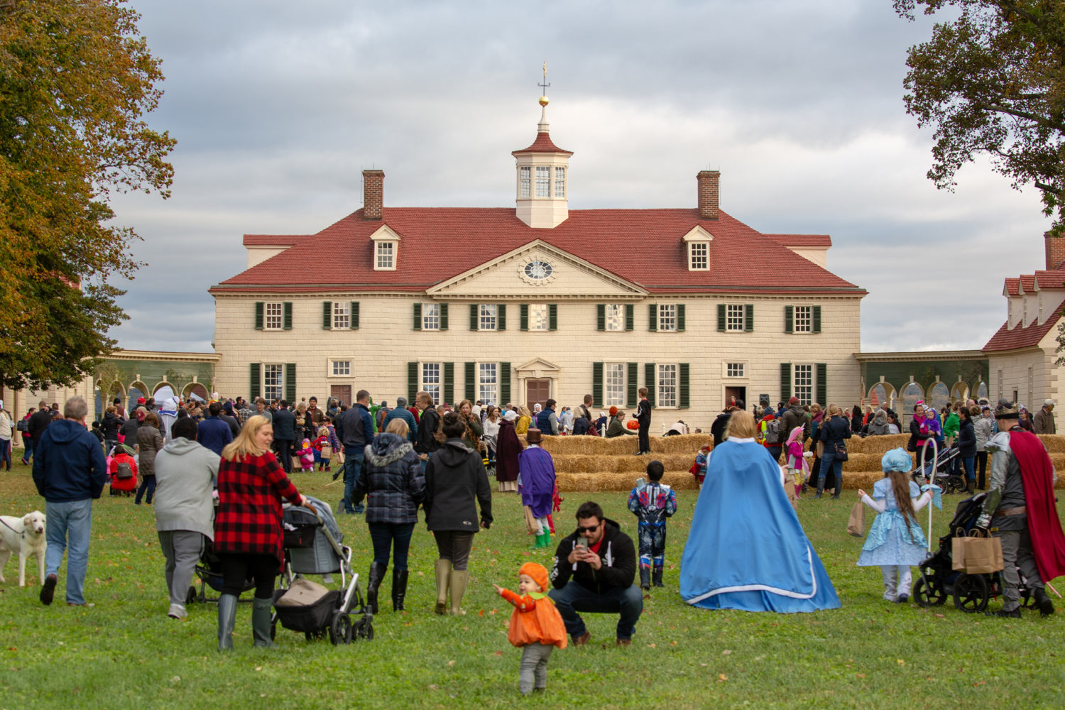 14 Halloween Activities for Kids to Do in the DC Area
