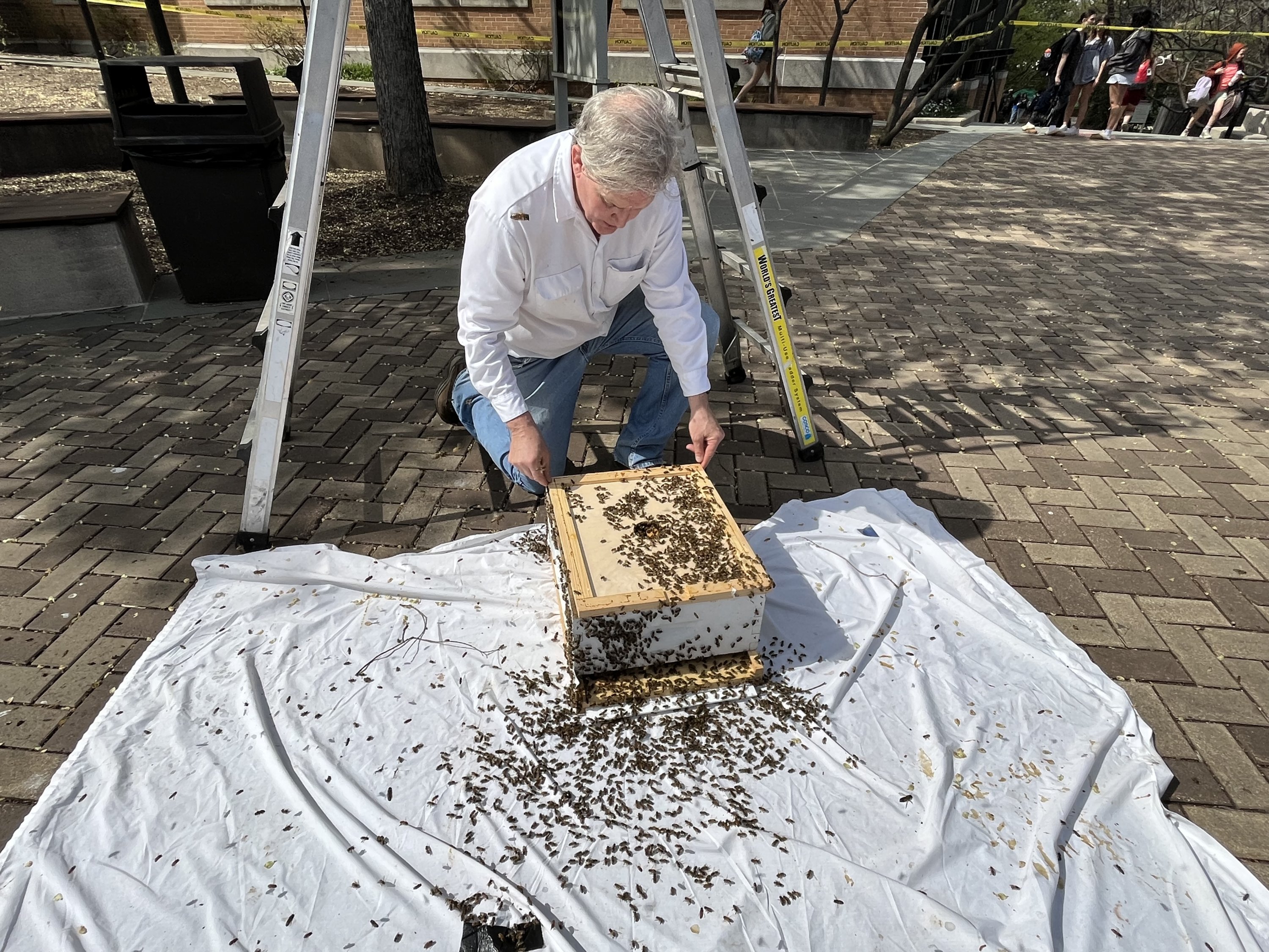 Sean Kennedy of the DC Beekeepers Alliance.
