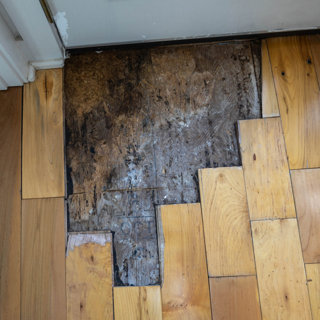 3O5A5625-cropped - Washingtonian