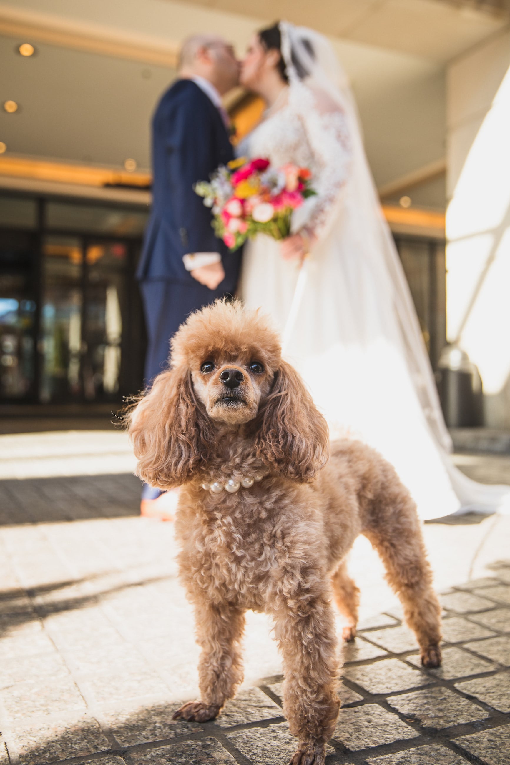 Leslie + Leor married // Fairmont Washington Hotel Leslie + Leor married // Fairmont Washington Hotel