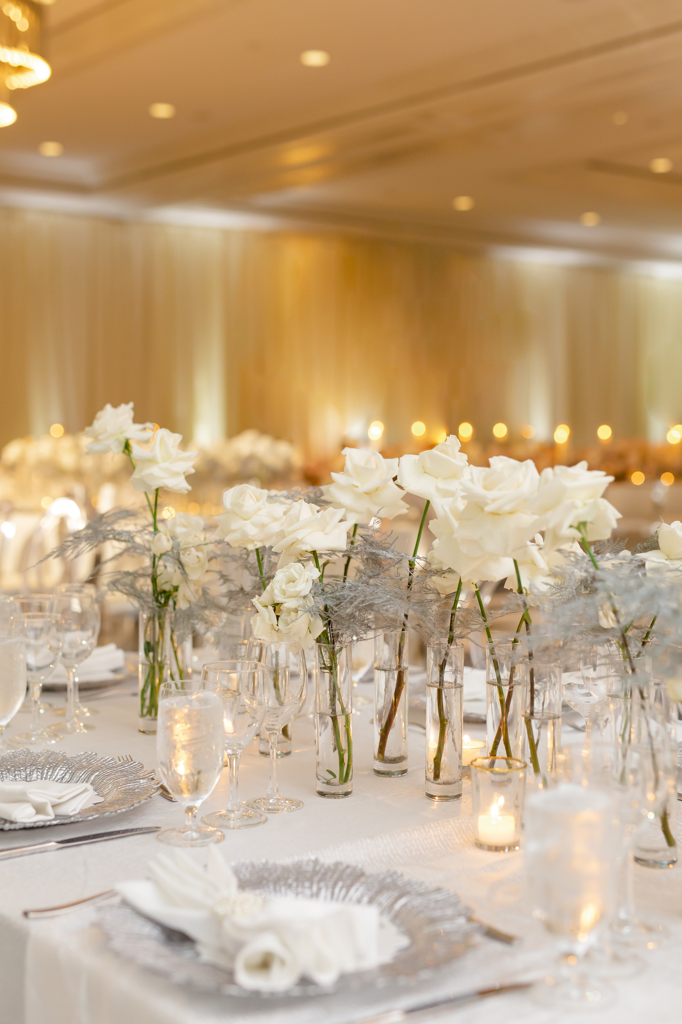Alisha & Vivek - Washingtonian