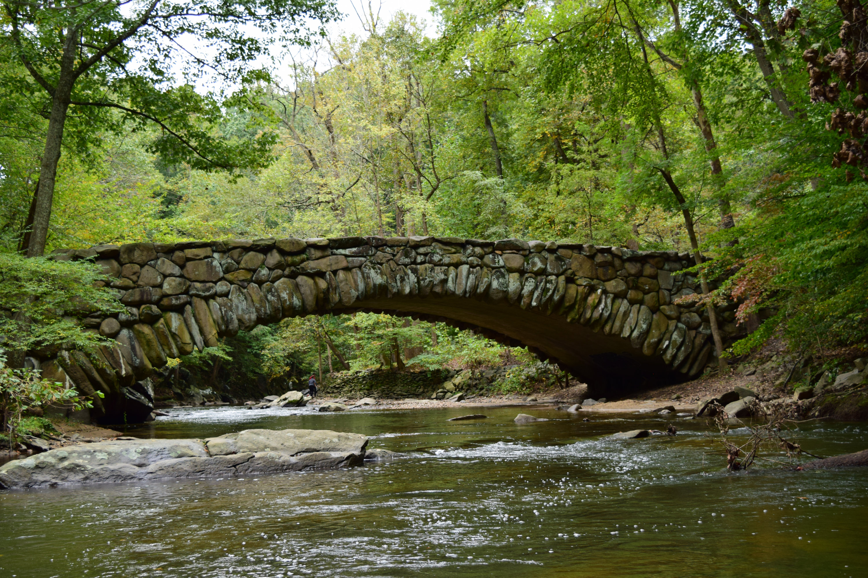 Boulder Ridge Rock Creek Park Over Stream 1 - Washingtonian