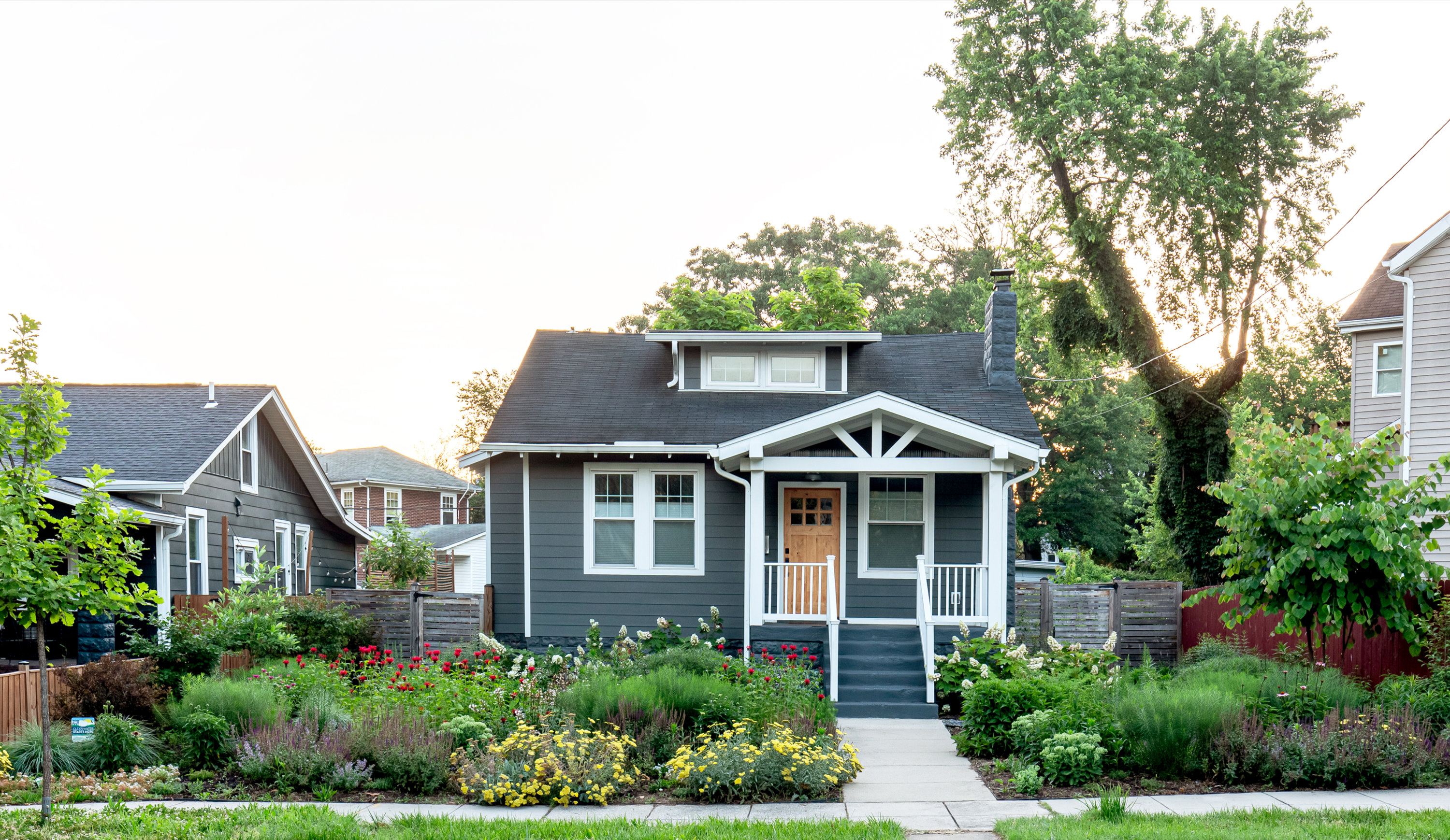 jenny-albterini-yardscapes-june-2024-0009 - Washingtonian