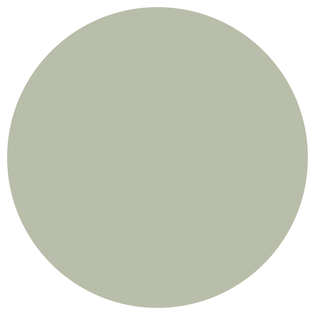 seeinggreen-04 - Washingtonian