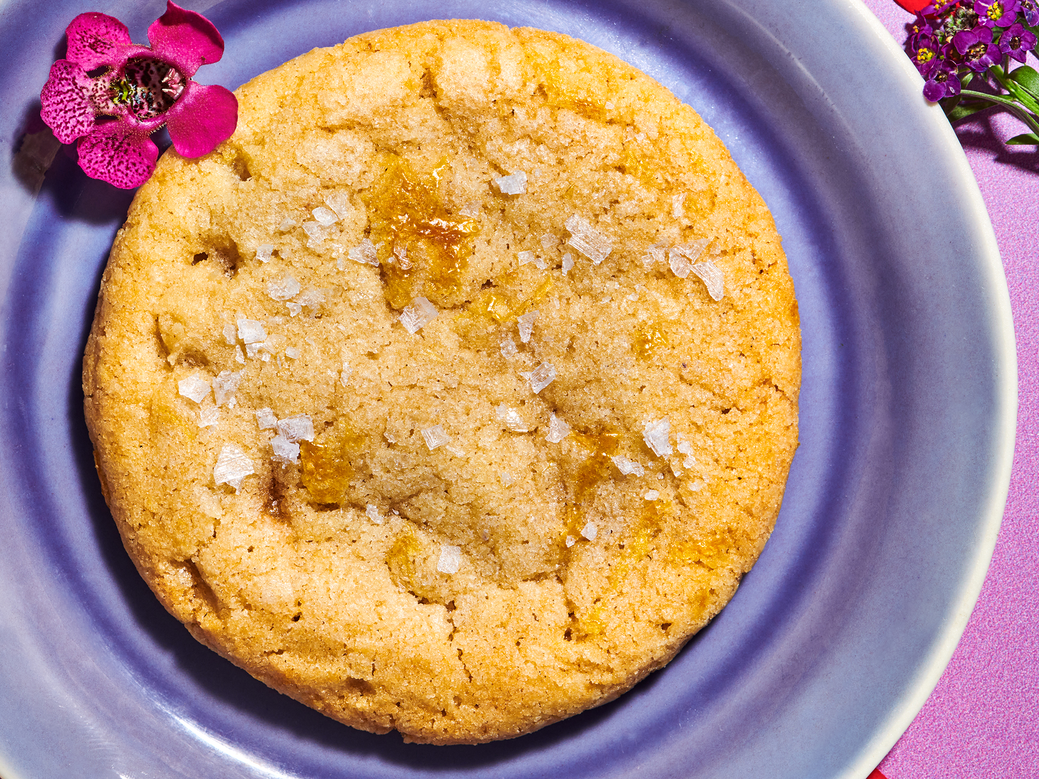 247_BodegaBakes_Cookies_LemonCookie_001-cropped - Washingtonian