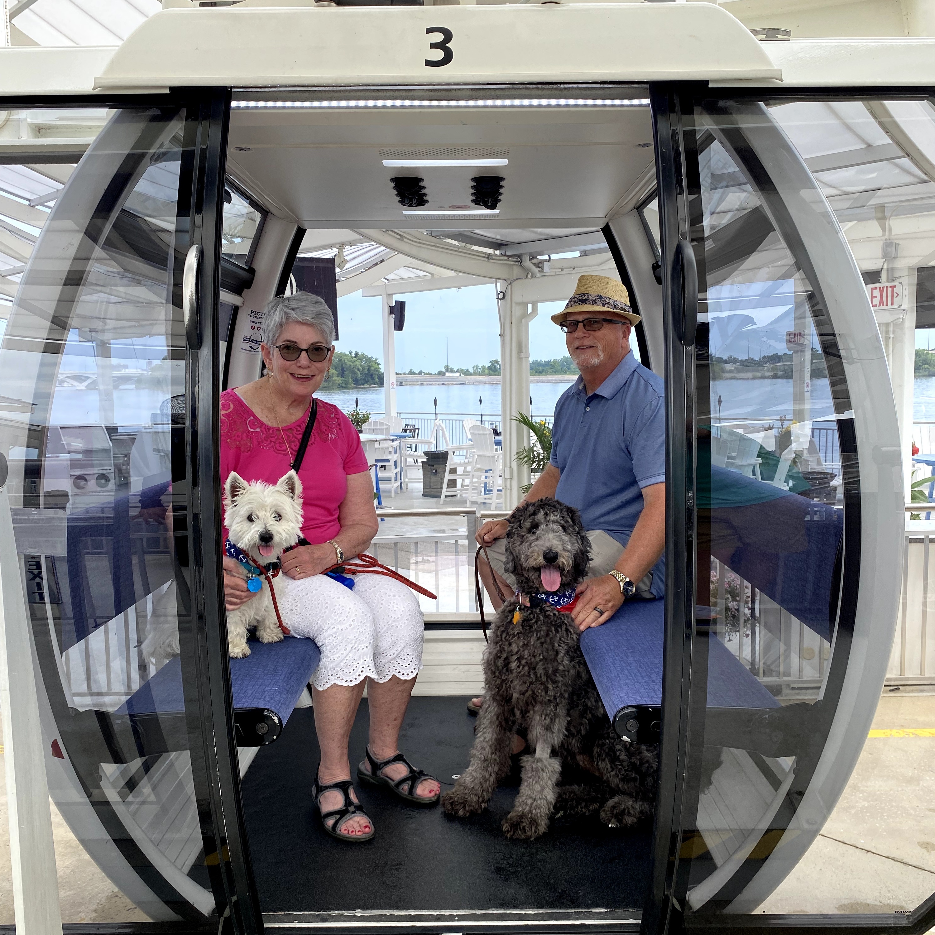 Capital wheel national dog day - Washingtonian