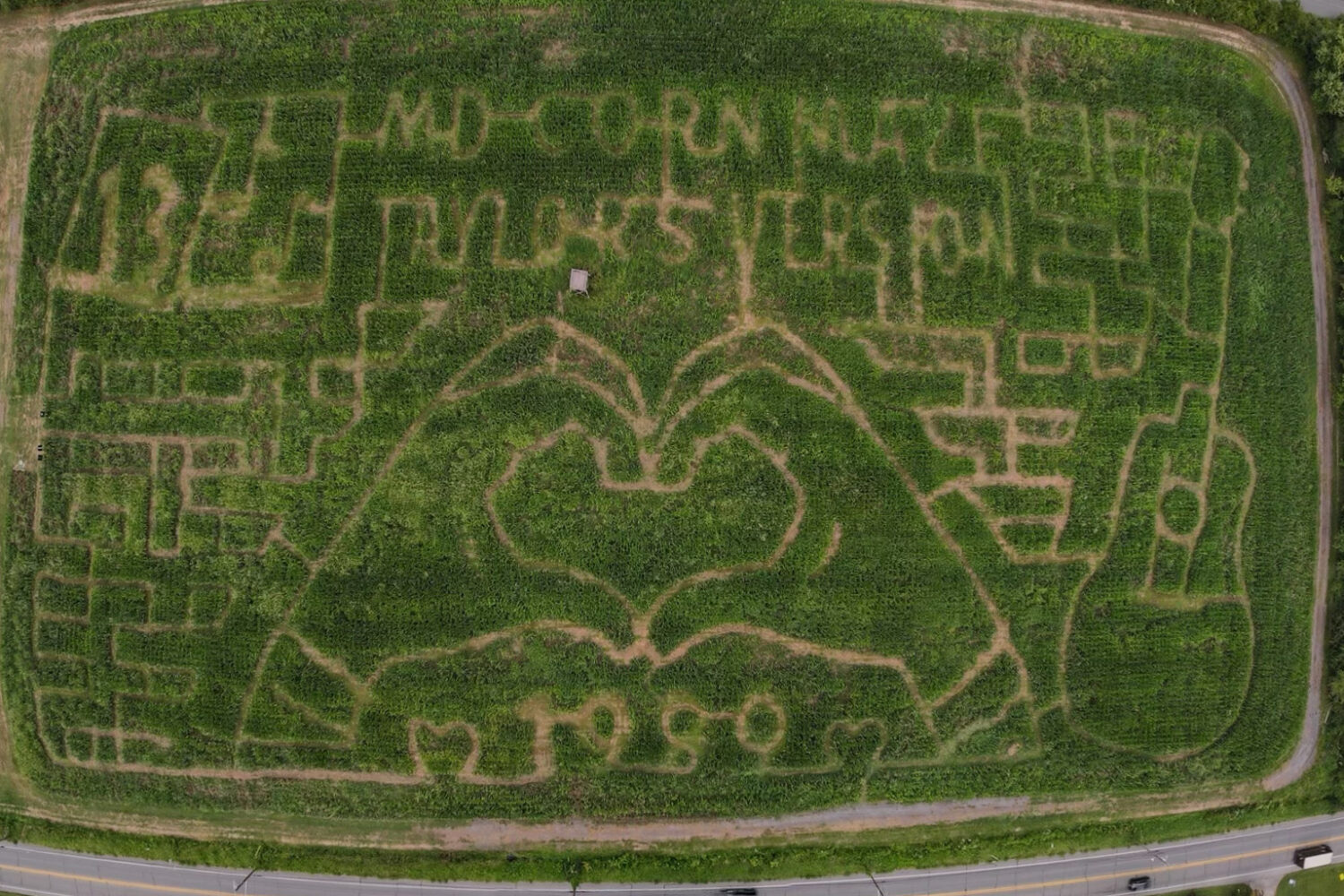 A Taylor Swift-Themed Corn Maze Is Debuting This Weekend