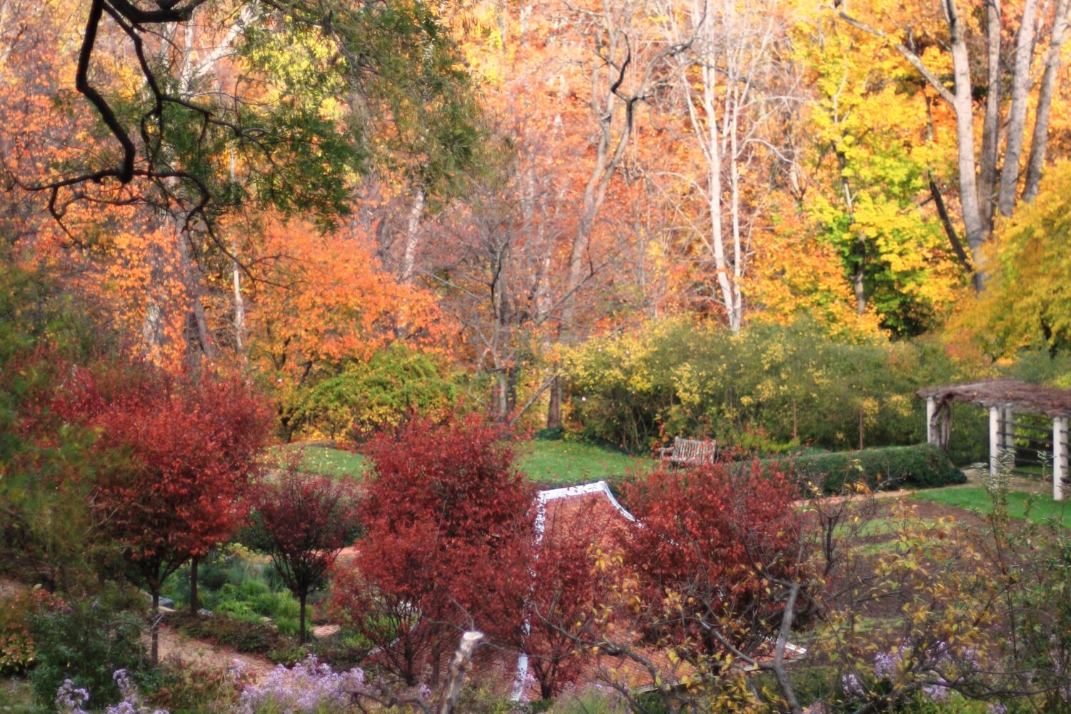 7 Leaf-Peeping Fall Excursions and Experiences in the DC Area