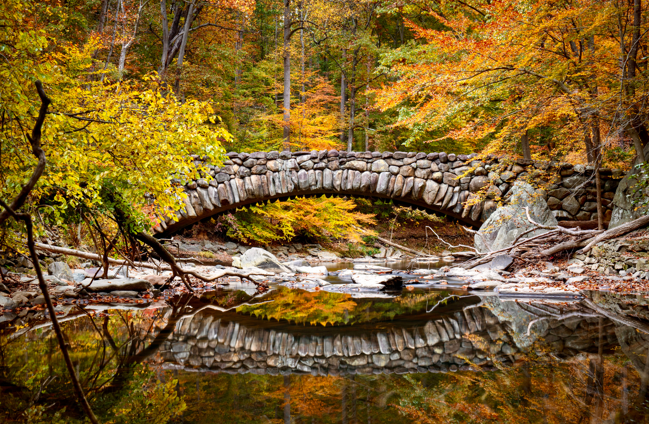 GettyImages-rock-creek-park-fall - Washingtonian