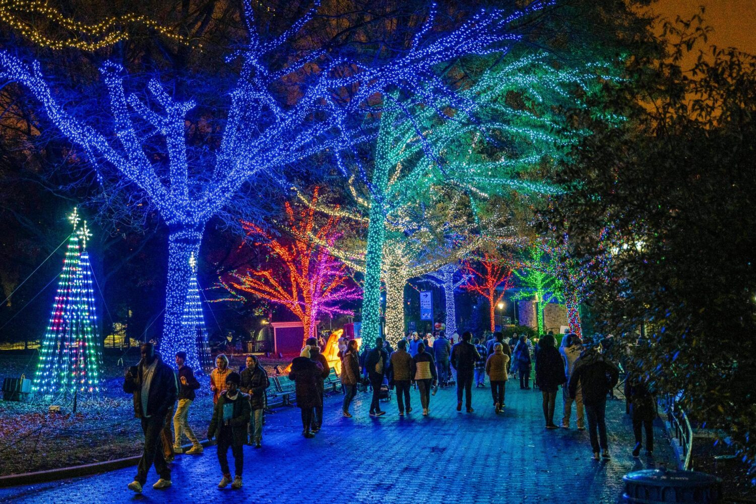 34 Things to Do in the DC Area This Week and Weekend