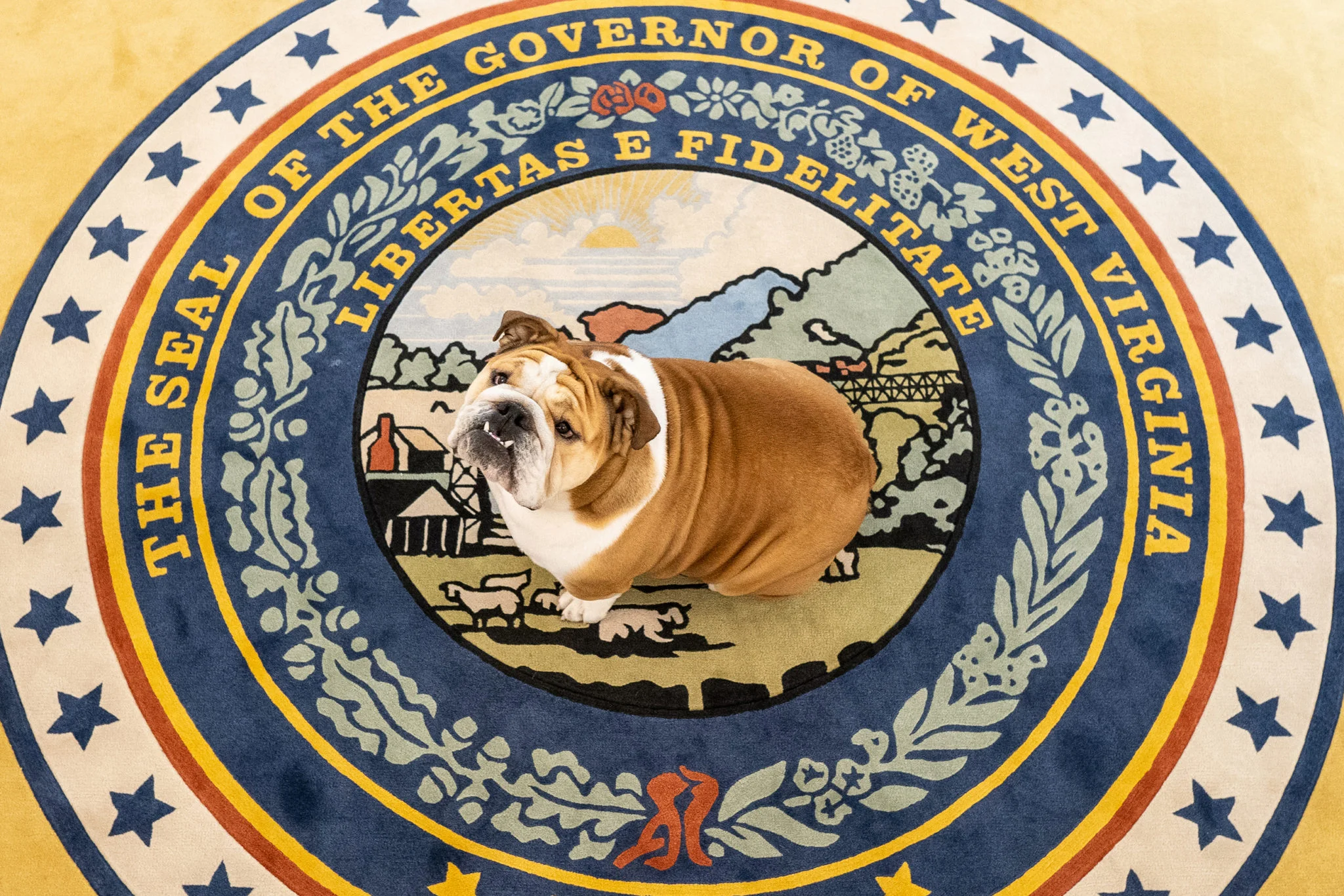 51222782401_5541aa9083_o-scaled-down-2048x1366 - Washingtonian