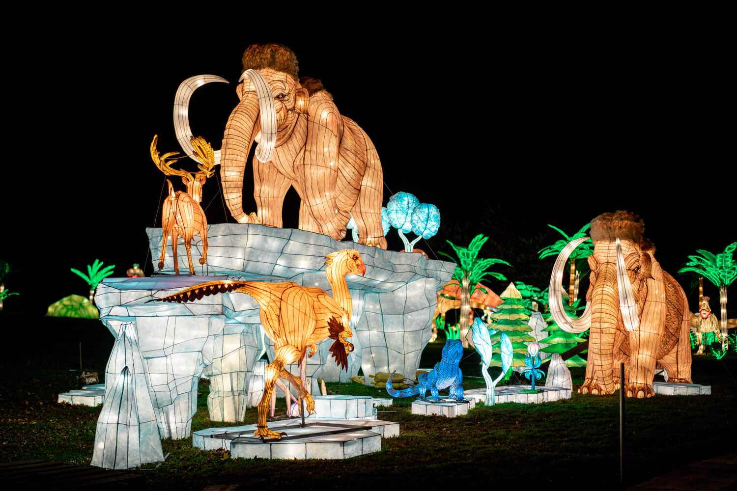 38 Things to Do in the DC Area This Week and Weekend