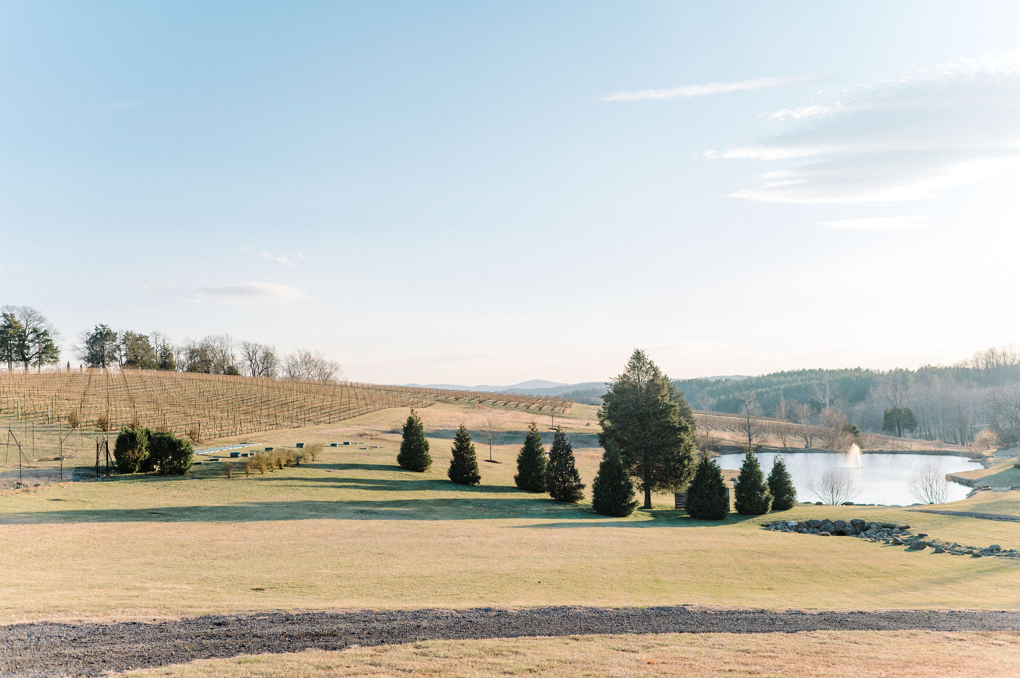 Courtney + Joe | Married - Washingtonian